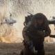 Image for article titled Every Cool Detail We Spotted in the Rogue One: A Star Wars Story Trailer